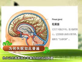 ������ҽԺ������Ժ�����͡�������һ����Ŀ��̸ʧ�������С�¡�(һ)